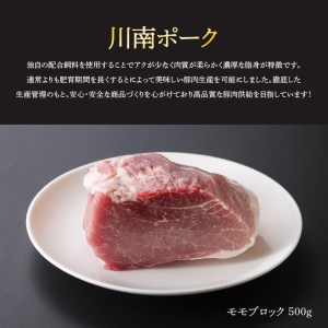 宮崎県産豚肉川南ポークモモブロック 2kg パック 普段使い 豚肉