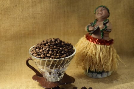 【楽園のコーヒー】ハワイ・モロカイ島コーヒー100% 300g（豆のまま）