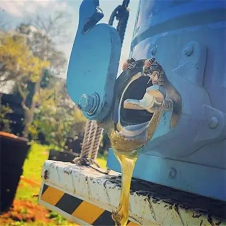 坂井養蜂場　昔ながらの蜂蜜　1000g_調味料 はちみつ  ハチミツ 蜂蜜_【1089940】