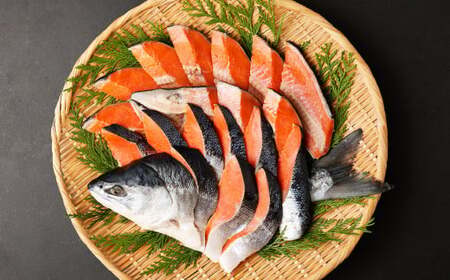 紅鮭 １尾 姿切身 特特サイズ 甘塩 鮭 さけ