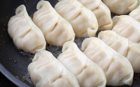 【高島屋選定品】 頑固餃子セット 塩竈市×高島屋コラボ 宮城県【04203-0357】
