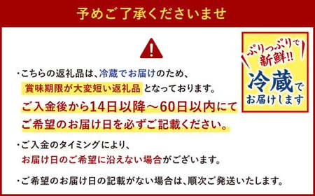 【指定日必須】本場関門とらふぐ刺身・ふぐ鍋セット※白子付(4～5人前)ふく一