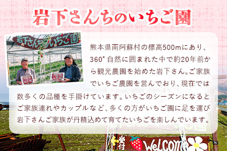 オリジナルミルフィーユアイス 南阿蘇岩下さんちのいちご園 90ml×12個 《60日以内に出荷予定(土日祝除く)》
