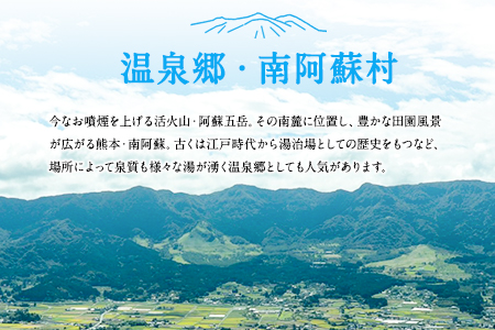 熊本県南阿蘇村8施設で使える宿泊ギフト券30000円分《30日以内に出荷予定(土日祝除く)》ギフト 旅館 温泉 一般社団法人みなみあそ観光局 