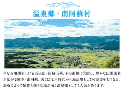 【絶景を愉しむ】宿を選べる南阿蘇ペア平日1泊2食付き宿泊券／竹プラン《30日以内に出荷予定(土日祝除く)》 熊本県南阿蘇村 ギフト 旅館 温泉 一般社団法人みなみあそ観光局 st-p
