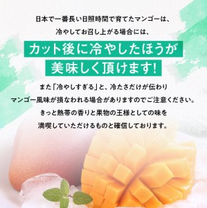 【令和8年発送】宮崎県産完熟マンゴー　三國農園　完熟マンゴー2L×3玉【令和8年発送】宮崎県産完熟マンゴー「おひさまハニーマンゴー」L×3玉 果物 マンゴー