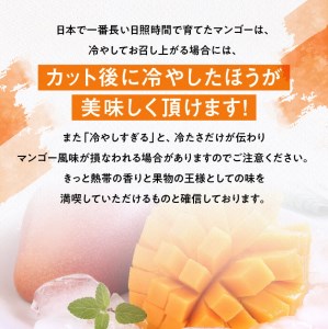 【令和8年発送】宮崎県産完熟マンゴー三國農園完熟マンゴー3L×2玉 フルーツ マンゴー