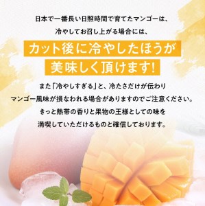【令和8年発送】宮崎県産完熟マンゴー　三國農園　完熟マンゴー2玉（約1kg） 【 果物 フルーツ マンゴー 宮崎県産 完熟マンゴー みやざきマンゴー 】
