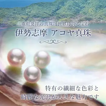 大粒9ミリ アコヤ真珠 プラチナ ネックレス パールハヤシ 【 プラチナ 】