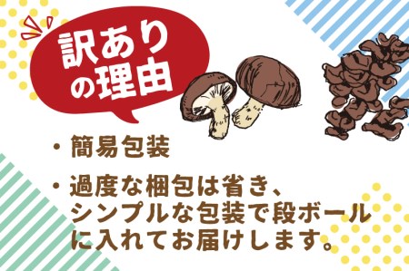 《先行予約》しいたけ・生きくらげセット 計1kg / 政木農園 しいたけ きくらげ