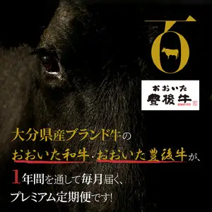 【プレミアム定期便】大分が誇る おおいた和牛・豊後牛毎月お届け定期便（12回）  T10020