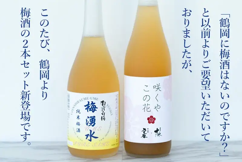 鶴岡の梅酒2本セット 佐藤屋×大山『咲くやこの花』＆羽根田酒造 羽前白梅『梅湧水』 各720ml　山形県鶴岡市 山形県酒類卸株式会社　K-843　| お酒 酒 地酒 日本酒 純米酒 純米 清酒 ご当地 名産品 特産品 アルコール セット 梅酒 リキュール
