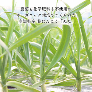 かつおのたたき 高知厳選１本釣り本わら焼き「高知本気シリーズ　極カツオのタタキ（３〜４人前）あの有名番組で紹介された有機無添加土佐にんにくぬた、タレ付き」数量限定【株式会社LATERAL】 [BQAU004]