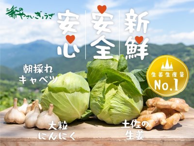 ttm144国産素材にこだわったシゲ爺のやさいぎょうざ
