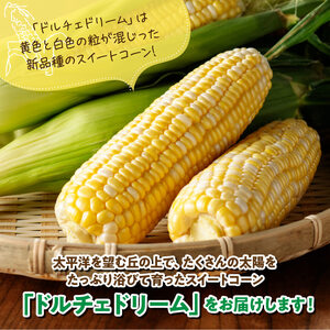 【令和8年発送】宮崎県産とうもろこし朝どれ！守部さんちのドルチェドリーム (2L)5kg スイートコーン