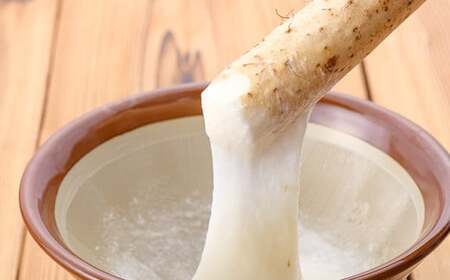 山形県産 雪国育ち自然薯 生芋1本物 1.5kg（2～4本） F2Y-5113