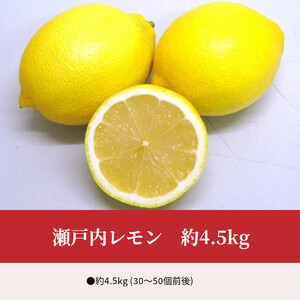 瀬戸内レモン 約4.5kg