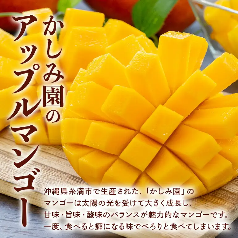 【 先行予約 2026年 発送 】 優秀賞受賞のかしみ園 アップルマンゴー 2kg 沖縄県産 マンゴー アーウィンマンゴー 2キロ 国産 完熟マンゴー 果物 南国 くだもの フルーツ 完熟 夏 旬 特産品 沖縄 お取り寄せ 産地直送 農家直送 甘い 濃厚 糸満市 18-4
