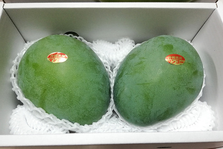 【 先行予約 2026年 発送 】 濃厚な大人の味 沖縄県「 キーツマンゴー 」1.5kg 沖縄県産 マンゴー 1.5キロ 緑色 希少 国産 果物 南国 くだもの フルーツ 夏 旬 特産品 沖縄 お取り寄せ 産地直送 農家直送 甘い かしみ園 濃厚 糸満市 18-2