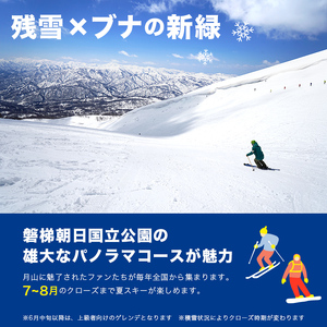 FYN6-540 月山スキー場ペアリフトで使える リフトご利用券 15000円分 月山スキー 月山登山 スキー 登山 山登り ハイキング トレッキング 旅行 体験 チケット 山形県 西川町 月山