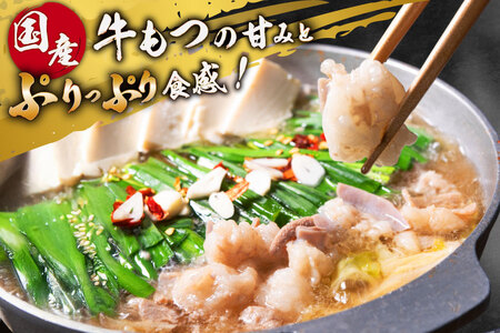 【老舗人気店】博多本格もつ鍋 4～5人前 [博多もつ鍋 太閤 福岡県 筑紫野市 21760394]