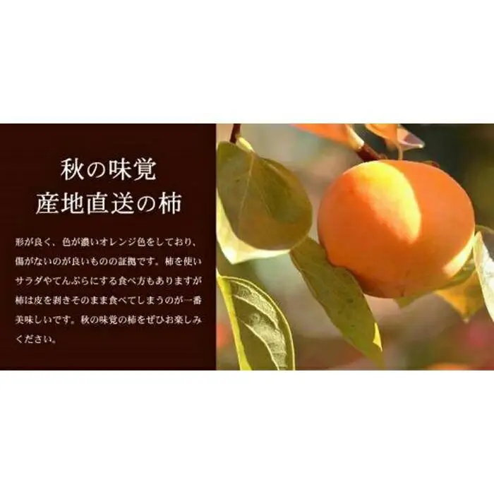 和歌山の種なし柿　約7.5kg（秀品：サイズ・品種おまかせ）／紀伊国屋文左衛門本舗［TC4］