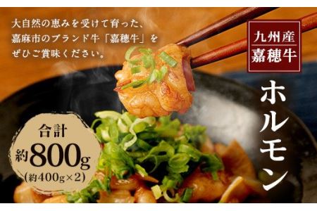 嘉穂牛 ホルモン 約800g ブランド牛