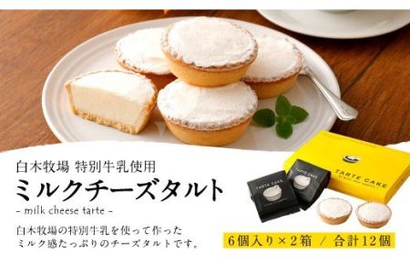ミルクチーズ タルト 6個入り×2 クリームチーズ 特別牛乳 洋菓子 チーズ スイーツ チーズタルト