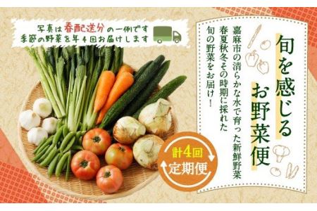 旬を感じるお野菜 定期便 年4回 季節 野菜セット