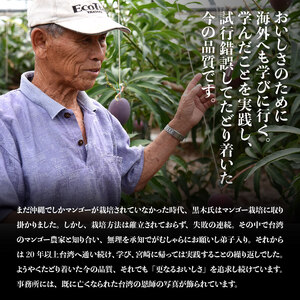 【令和8年発送】宮崎マンゴー 太陽の子６玉（2.7kg以上） 果物 フルーツ マンゴー