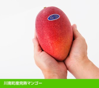 【令和8年発送】宮崎県産完熟マンゴー「果実の宝石」4L×1玉 マンゴー 果物