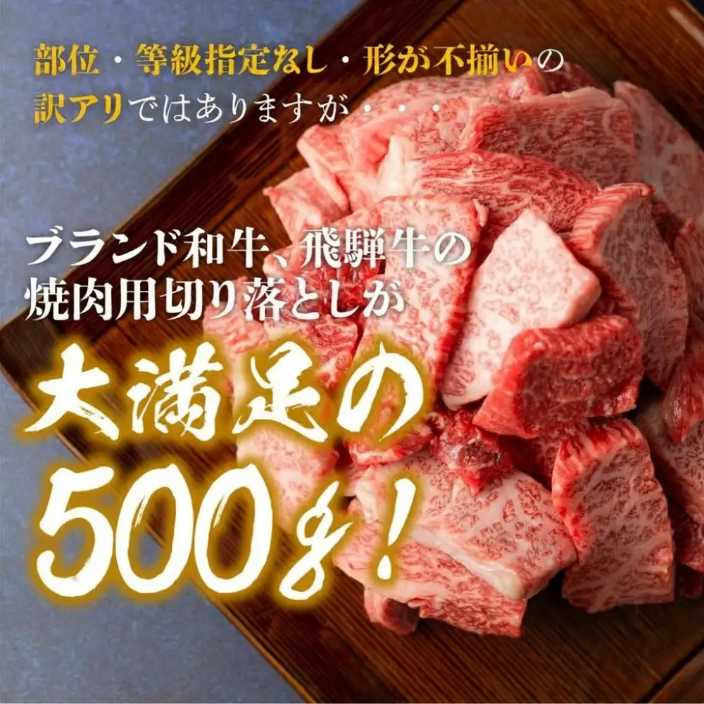 【ふるなび限定】牛肉 500g  | 牛肉 [BV031]　FN-Limited-VO