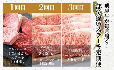 【定期便 3ヶ月】＜全3回＞ A5飛騨牛 ステーキ（ヒレ／ロース／ランプ／サーロイン）| 肉 牛肉 飛騨牛 黒毛和牛 サーロインステーキ 飛騨高山 肉の匠家 BV103