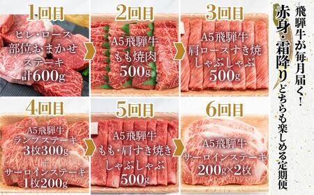 【定期便 6ヶ月】＜全6回＞飛騨牛 食べ比べ（ステーキ／焼肉／すき焼き／しゃぶしゃぶ）|  牛肉 定期便 肉の匠家 BV104