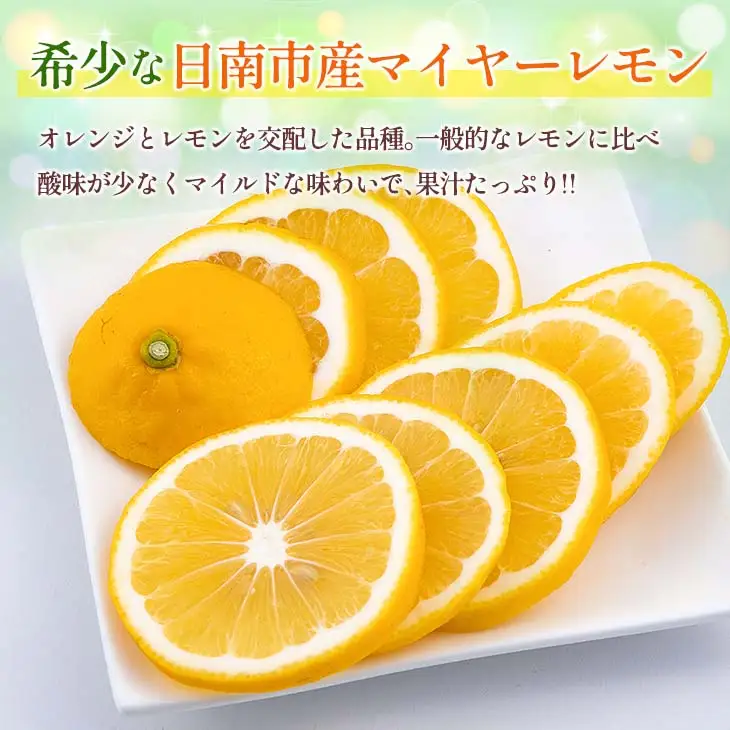 マイヤーレモン 計3kg以上 希少 国産レモン 果物 くだもの フルーツ 檸檬 柑橘 期間限定 数量限定_AV3-25