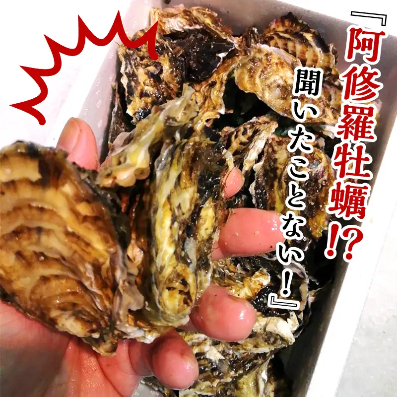 【予約：2026年10月中旬から順次発送】サロマ湖産 海のミルク 阿修羅牡蠣 8kg ( 魚介類 海鮮 魚介 牡蠣 かき カキ 海のミルク サロマ湖 8キロ 1年カキ )【031-0016-2026】