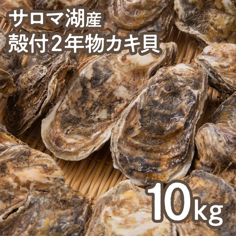 【予約：2026年10月より順次発送】【カキナイフ付】海のミルクサロマ湖産殻付2年物カキ貝 10kg 80～100個入 ( 海鮮 魚介類 貝 お歳暮 お祝い BBQ )【031-0020-2026】