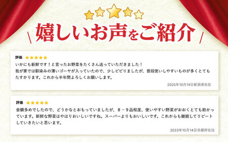 野菜 12回定期便  諫早産野菜の詰め合わせ 8～9品目程度 [AHDI003]
