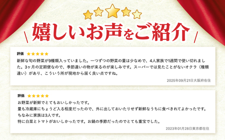 野菜 3回定期便 諫早産野菜の詰め合わせ8〜9品目程度 [AHDI001]