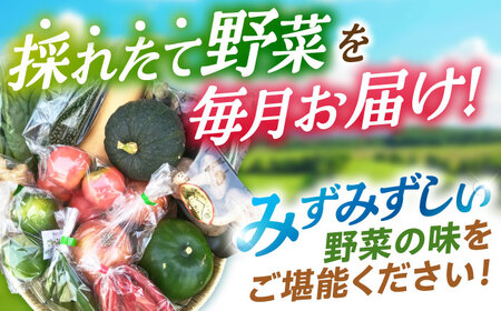 野菜定期便【全6回定期便】諫早産野菜の詰め合わせ 8〜9品目程度 / 野菜 やさい 旬野菜 旬 新鮮 詰合せ セット たまねぎ なす トマト れんこん きのこ 大根 / 諫早市 / 肥前グローカル株式会社 [AHDI002]