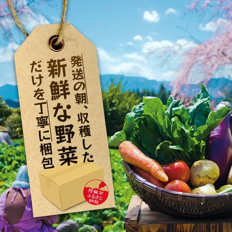畑から直送＞季節のお野菜セット Mサイズ（5～7品） | 熊本県阿蘇市