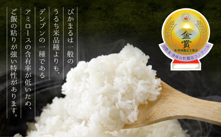 極美純米ぴかまる2kg スパルタ農法こだわりのお米