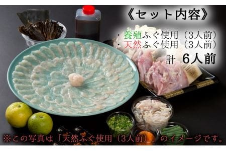 贅沢な食べ比べ！みつごの天然と養殖とらふぐセット（計６人前）［天然と養殖　各３人前］