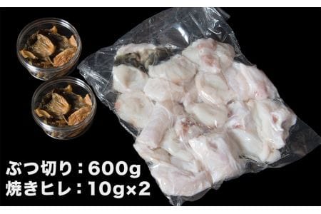 朝〆新鮮とらふぐぶつ切り・焼きヒレセット（３～４人前）