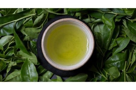 有機緑茶を飲み比べ！髙橋製茶の「みのりの茶」ギフトセット