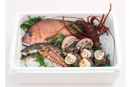 うすき豊後水道物語　豊後水道うすき地魚詰め合わせＢ