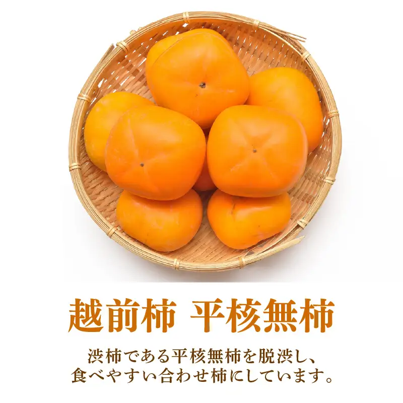 【先行予約】越前柿 16～20玉入 M～2L 《種なしで食べやすく甘い！》 あわらブランド ／ 期間限定 果物 フルーツ 産地直送 旬 お取り寄せ ※2026年10月中旬以降順次発送 [aw003-a006]
