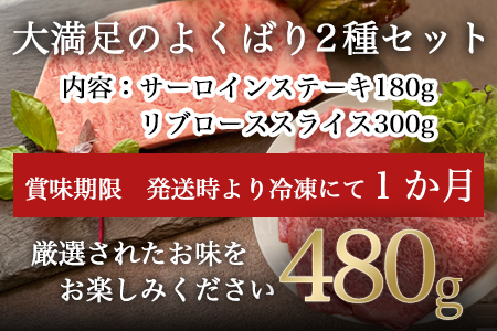 厳選佐賀牛 サーロインステーキ180g リブローススライス300g 2種(合計480g)セット