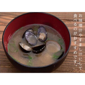 湖山池の大しじみ