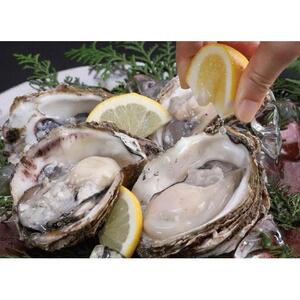 鳥取賀露港 天然岩がきセット【かねまさ・浜下商店】